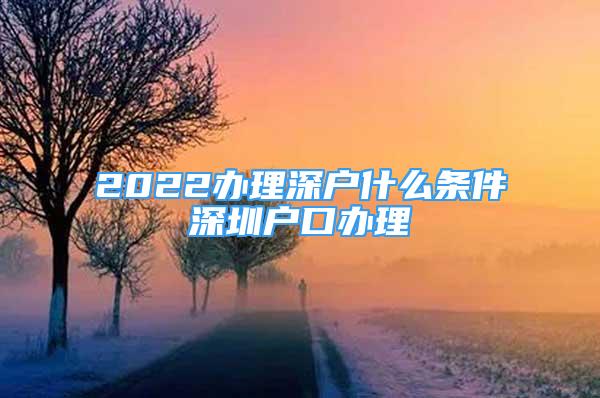 2022办理深户什么条件深圳户口办理