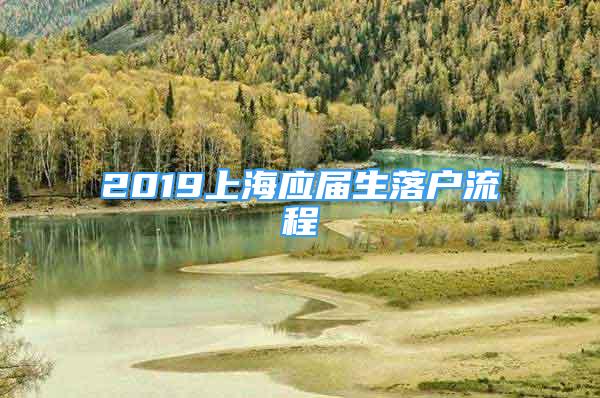 2019上海应届生落户流程