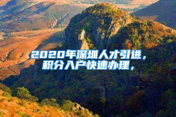 2020年深圳人才引进，积分入户快速办理，