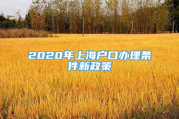 2020年上海户口办理条件新政策