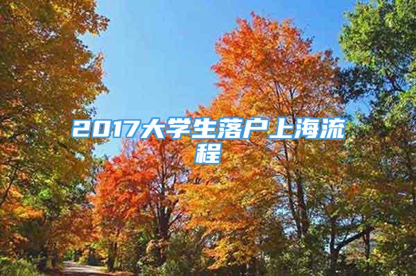 2017大学生落户上海流程