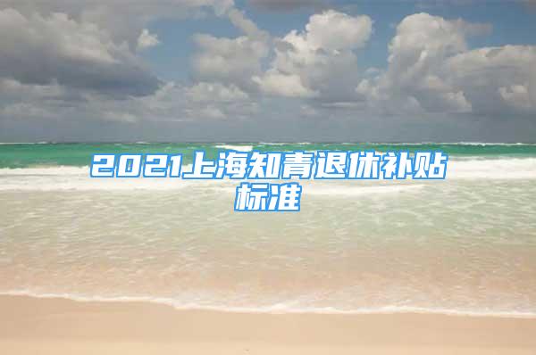 2021上海知青退休补贴标准