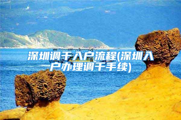 深圳调干入户流程(深圳入户办理调干手续)