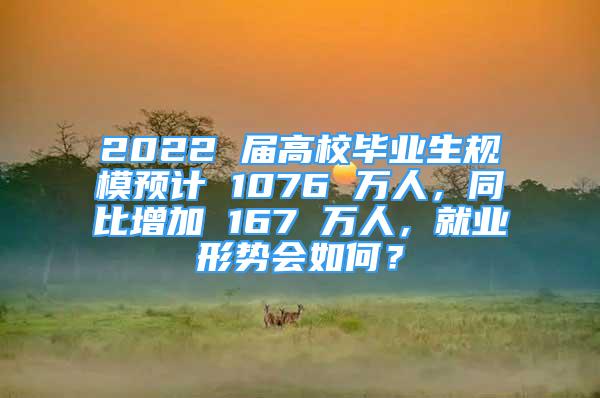 2022 届高校毕业生规模预计 1076 万人，同比增加 167 万人，就业形势会如何？