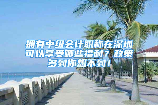 拥有中级会计职称在深圳可以享受哪些福利？政策多到你想不到！