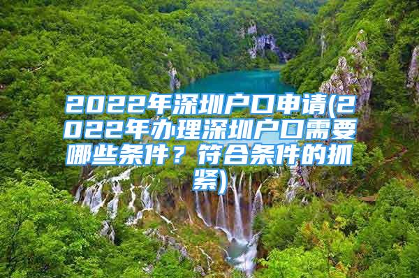 2022年深圳户口申请(2022年办理深圳户口需要哪些条件？符合条件的抓紧)