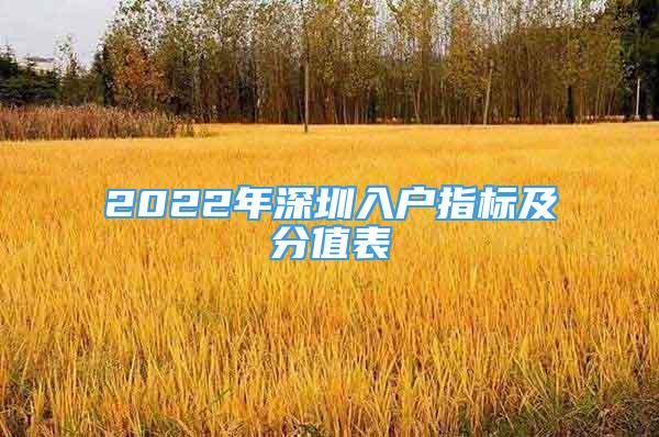 2022年深圳入户指标及分值表