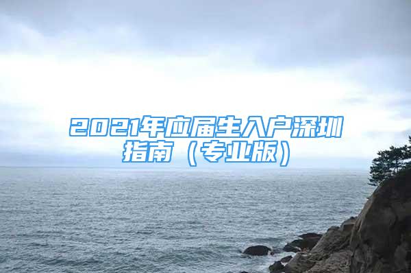 2021年应届生入户深圳指南（专业版）