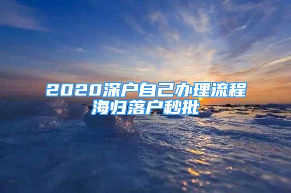 2020深户自己办理流程海归落户秒批