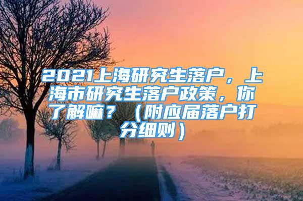 2021上海研究生落户，上海市研究生落户政策，你了解嘛？（附应届落户打分细则）