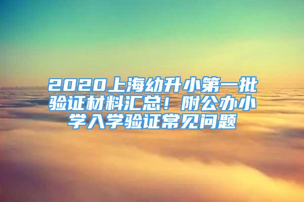 2020上海幼升小第一批验证材料汇总！附公办小学入学验证常见问题