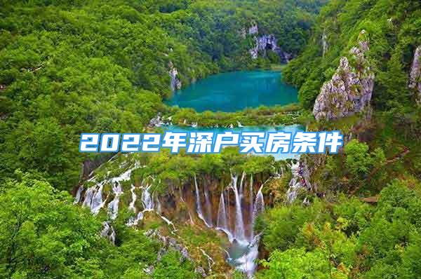 2022年深户买房条件