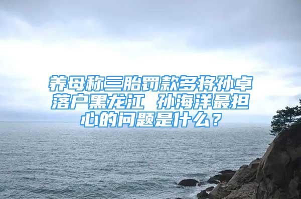 养母称三胎罚款多将孙卓落户黑龙江 孙海洋最担心的问题是什么？