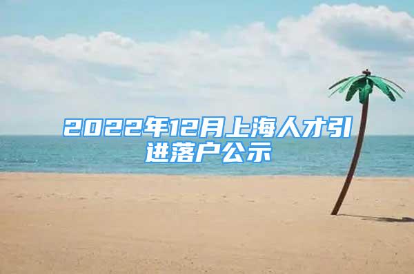 2022年12月上海人才引进落户公示