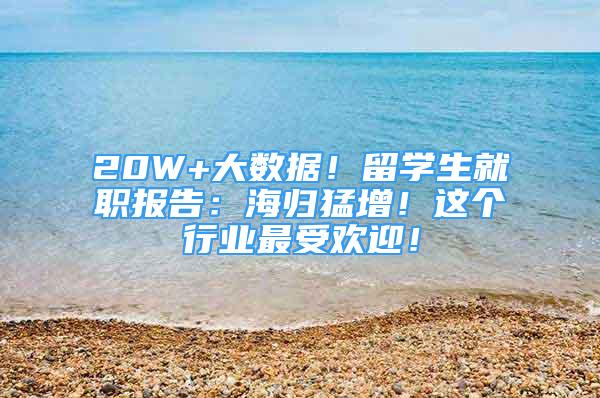 20W+大数据！留学生就职报告：海归猛增！这个行业最受欢迎！