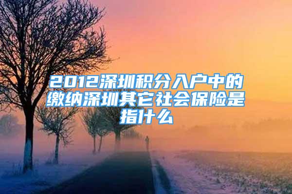 2012深圳积分入户中的缴纳深圳其它社会保险是指什么