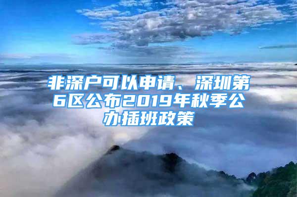 非深户可以申请、深圳第6区公布2019年秋季公办插班政策