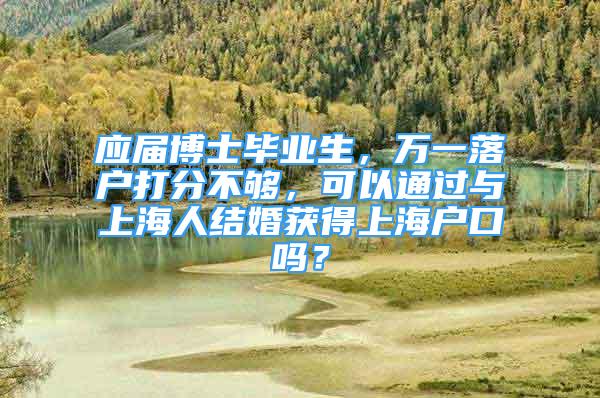 应届博士毕业生，万一落户打分不够，可以通过与上海人结婚获得上海户口吗？