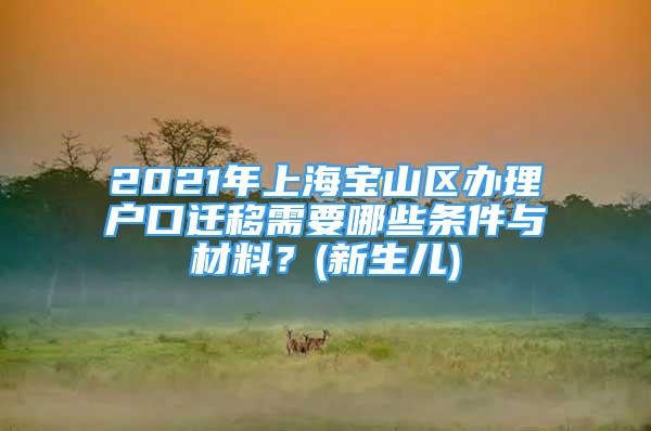 2021年上海宝山区办理户口迁移需要哪些条件与材料？(新生儿)