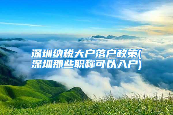 深圳纳税大户落户政策(深圳那些职称可以入户)