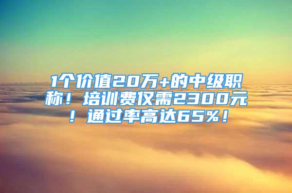 1个价值20万+的中级职称！培训费仅需2300元！通过率高达65%！