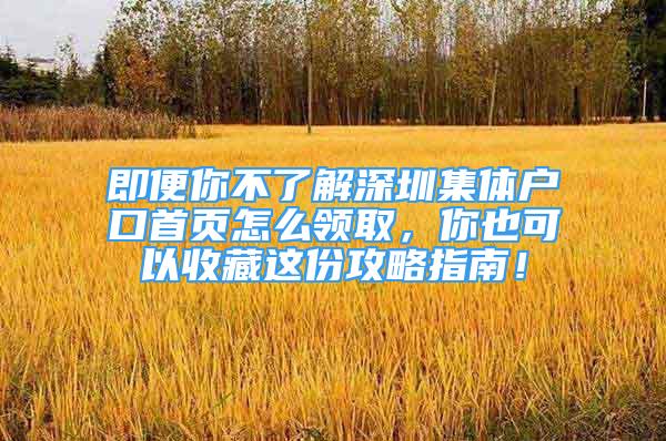 即便你不了解深圳集体户口首页怎么领取，你也可以收藏这份攻略指南！