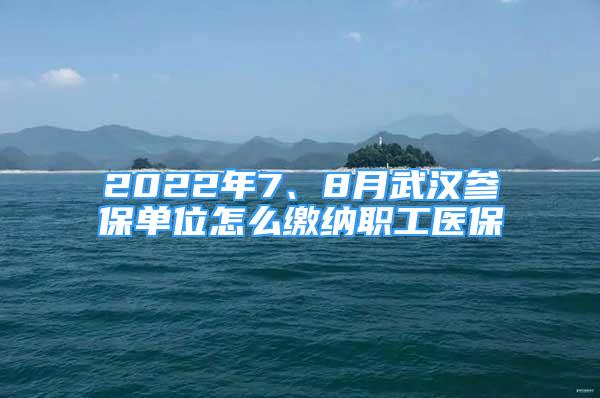 2022年7、8月武汉参保单位怎么缴纳职工医保