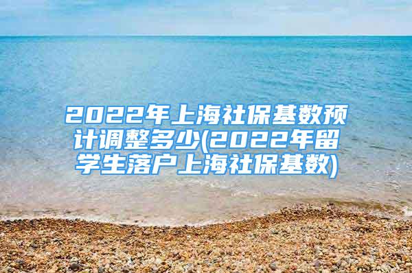 2022年上海社保基数预计调整多少(2022年留学生落户上海社保基数)