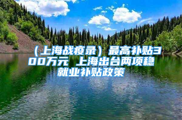 （上海战疫录）最高补贴300万元 上海出台两项稳就业补贴政策