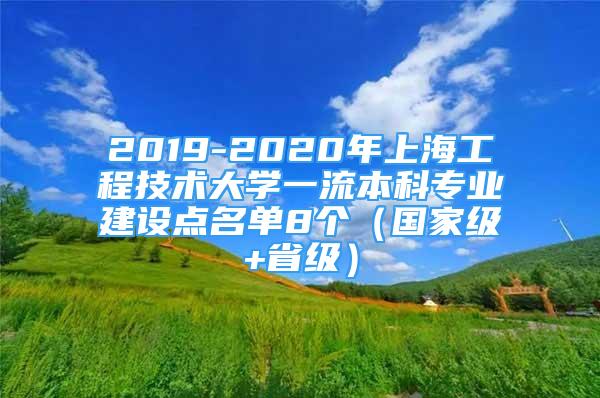 2019-2020年上海工程技术大学一流本科专业建设点名单8个（国家级+省级）