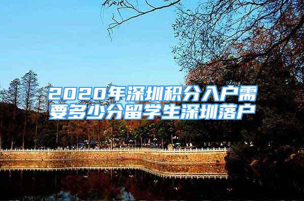 2020年深圳积分入户需要多少分留学生深圳落户