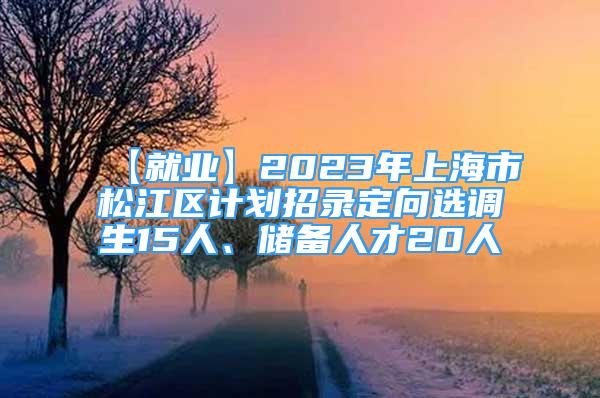 【就业】2023年上海市松江区计划招录定向选调生15人、储备人才20人