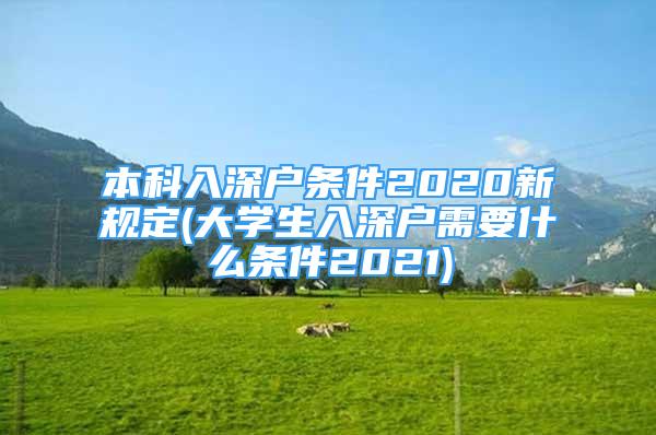 本科入深户条件2020新规定(大学生入深户需要什么条件2021)