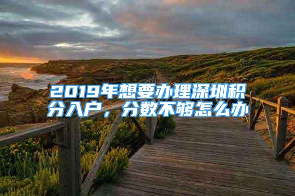 2019年想要办理深圳积分入户，分数不够怎么办