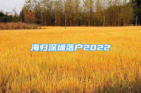 海归深圳落户2022