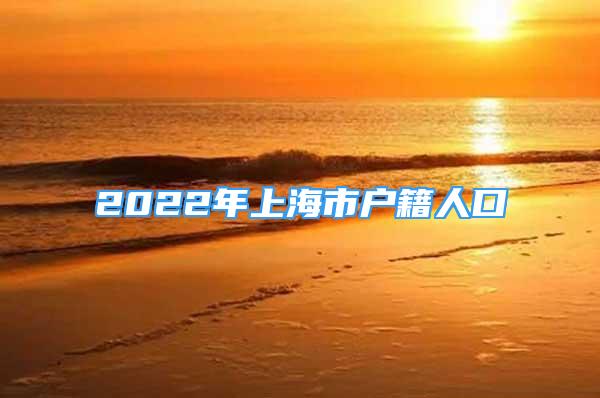 2022年上海市户籍人口