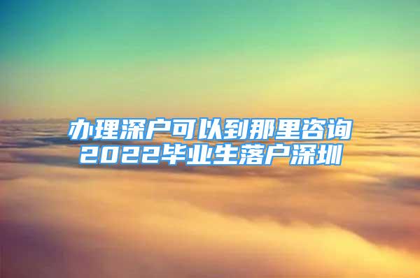 办理深户可以到那里咨询2022毕业生落户深圳