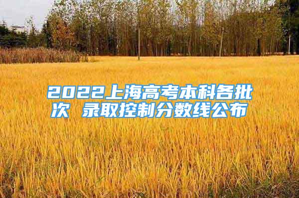 2022上海高考本科各批次 录取控制分数线公布