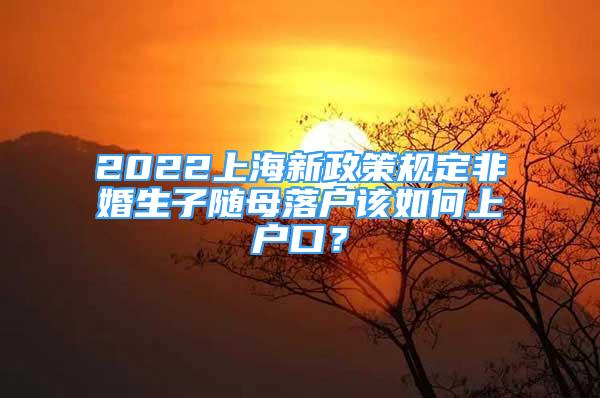 2022上海新政策规定非婚生子随母落户该如何上户口？