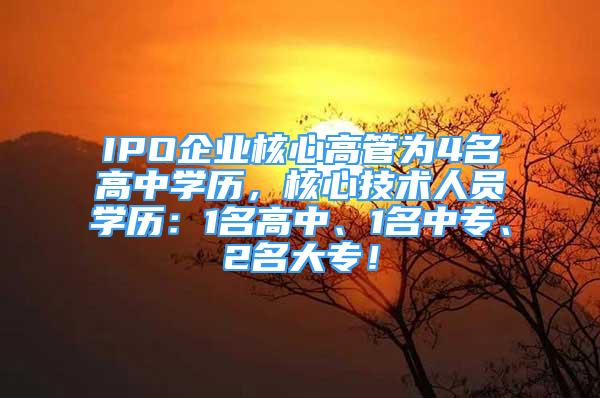 IPO企业核心高管为4名高中学历，核心技术人员学历：1名高中、1名中专、2名大专！