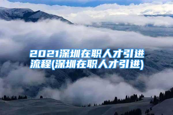 2021深圳在职人才引进流程(深圳在职人才引进)