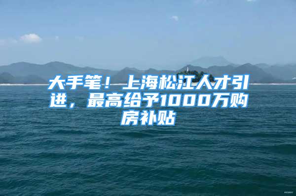 大手笔！上海松江人才引进，最高给予1000万购房补贴