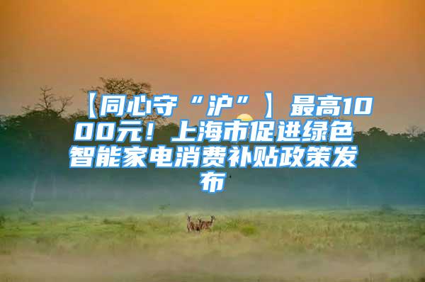 【同心守“沪”】最高1000元！上海市促进绿色智能家电消费补贴政策发布