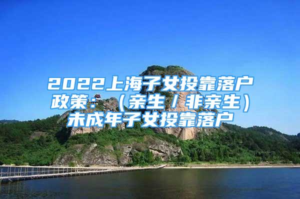 2022上海子女投靠落户政策：（亲生／非亲生）未成年子女投靠落户