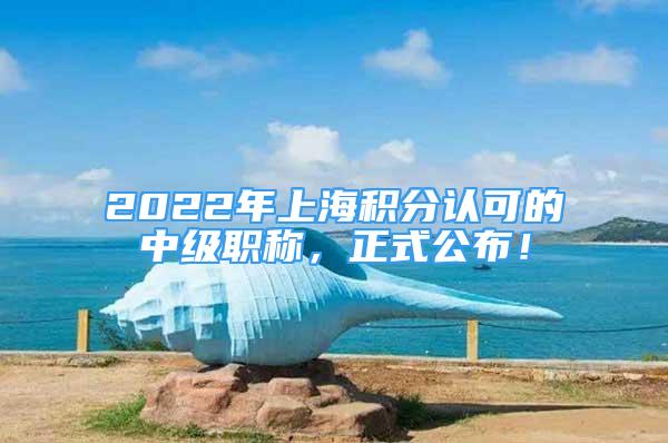 2022年上海积分认可的中级职称，正式公布！