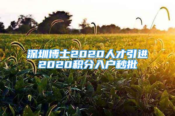 深圳博士2020人才引进2020积分入户秒批