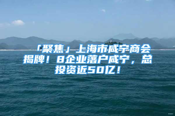 「聚焦」上海市咸宁商会揭牌！8企业落户咸宁，总投资近50亿！