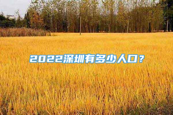 2022深圳有多少人口？