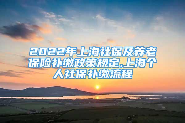 2022年上海社保及养老保险补缴政策规定,上海个人社保补缴流程