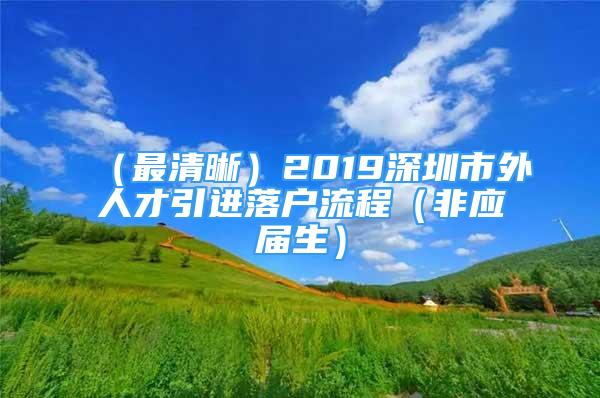 （最清晰）2019深圳市外人才引进落户流程（非应届生）